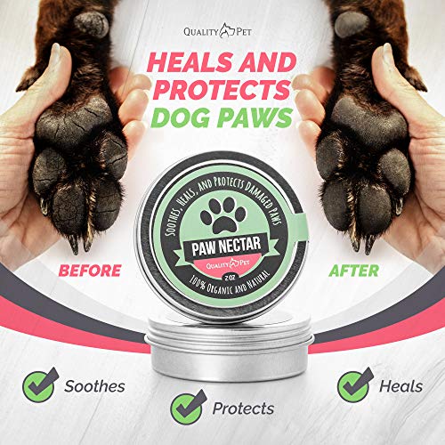 Paw Nectar Bálsamo curativo y Protector de Patas de Perro orgánico Cura, repara y restaura Las Patas secas, agrietadas y dañadas - Manteca 100% Natural - Efectivo y Seguro - 56 g