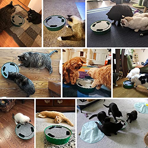 Pawaboo Juguete Escondido Electrónico para Gato, Imita la Escena Real del Gatito y el Ratón con Interruptor de Control, Herramienta de Entrenamiento para Gatito - Taro Morado