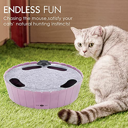 Pawaboo Juguete Escondido Electrónico para Gato, Imita la Escena Real del Gatito y el Ratón con Interruptor de Control, Herramienta de Entrenamiento para Gatito - Taro Morado
