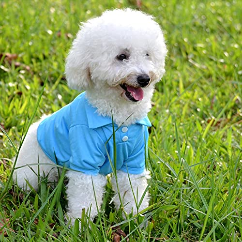 pawstrip Camiseta polo de color caramelo para mascotas, ropa de cachorro, gatito, manga corta, abrigos, abrigos, chaleco de malla transpirable para perros pequeños y medianos y gatos, 3 piezas
