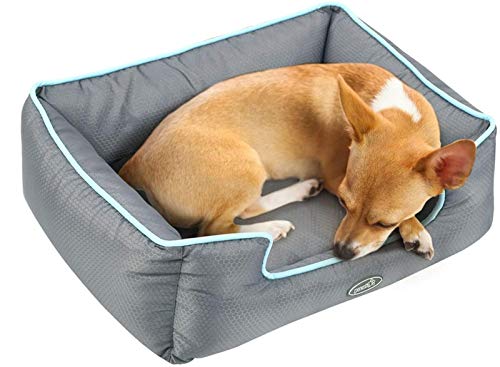 Pecute Cama de Perros y Gatos Alfombra para Mascotas Tela Impermeable Desmontable y Extraíble (M:63 * 53cm)
