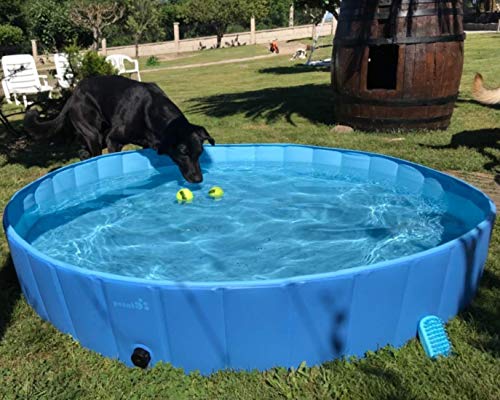 Pecute Piscina Perros y Gatos Bañera Plegable PVC Antideslizante y Resistente al Desgaste,Regalo: Adaptador de Salida de Agua, Adecuado para Interior Exterior al Aire(XL:160cm*30cm)