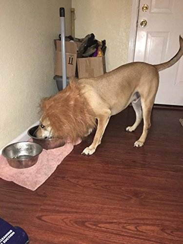 Peluca de león para mascotas, ideal como disfraz para perros y gatos