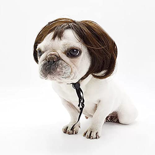 Peluca Divertida para Mascotas, Accesorios para Disfraces de Perros y Gatos, Peluca para Mascotas, Cabeza explosiva, Flequillo Qi, Peluca de Navidad para Halloween, Juego de Cabello