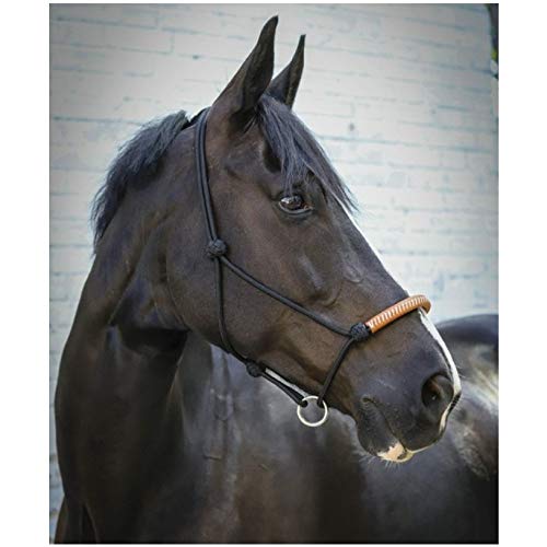 Penelope Cabestro de punto, color negro, talla universal