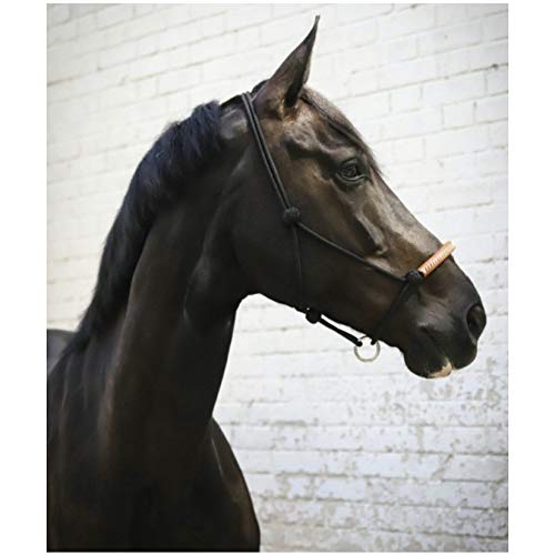 Penelope Cabestro de punto, color negro, talla universal
