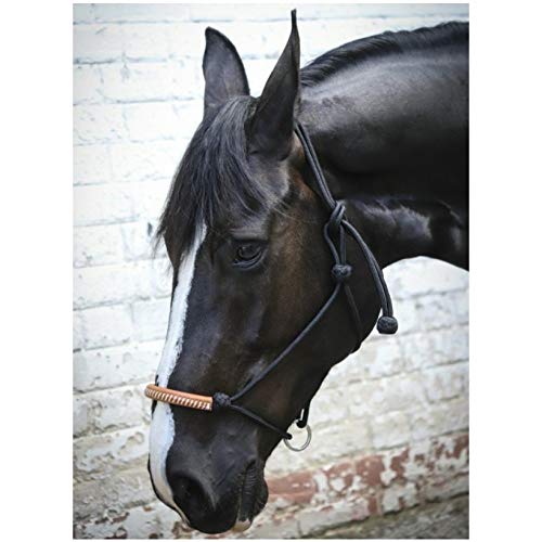 Penelope Cabestro de punto, color negro, talla universal