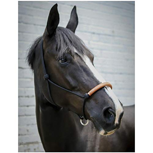 Penelope Cabestro de punto, color negro, talla universal