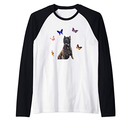 Perro de Presa Canario con las mariposas Camiseta Manga Raglan