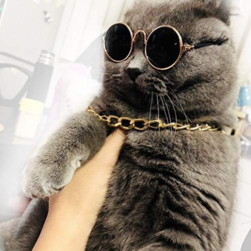Pet Accessories Gafas de Sol de la Vendimia del Sombrero de Paja de Oro Collar de Perro de Bell del Collar del Gato del Lazo, Moda, Fresco, Divertido Huangchuxin