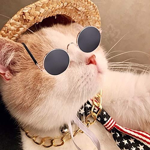 Pet Accessories Gafas de Sol de la Vendimia del Sombrero de Paja de Oro Collar de Perro de Bell del Collar del Gato del Lazo, Moda, Fresco, Divertido Huangchuxin