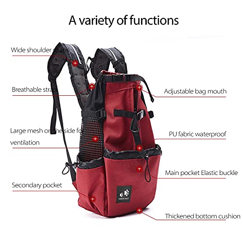 PETCUTE Mochila para Perros Bolsa transportin Perro Transpirable Transportar Perros Gatos Mascotas Mochila Portaperro Transportadoras Bolsa para Caminatas Portátil Viaje hasta 5kg