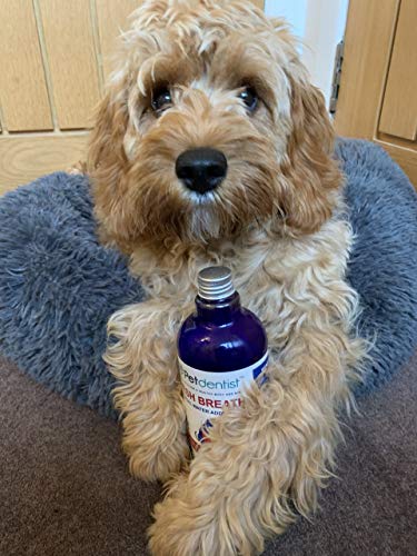 Petdentist Cuidado Dental para Perros Aliento Fresco Aditivo de Agua Removedor de tártaro para Perros Limpieza del ambientador Oral Producto para encías Gingivitis y Mala respiración de Gato - 500ml