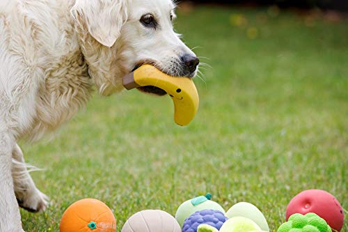 Petface Juguete de látex para Perro de Manzana, pequeño