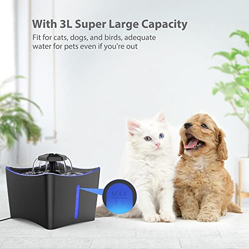 Petiigo Fuente para Gatos, Fuente de Agua para Mascotas, Dispensador de Agua para Mascotas, con Indicador LED de Noche y 3 Filtros de Agua para Gatos - Negro