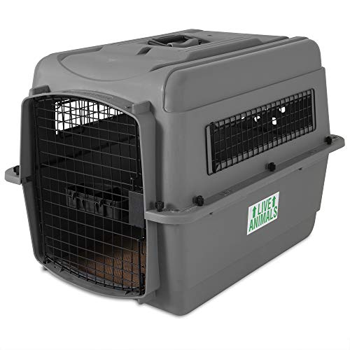 Petmate 00200 Transportin Sky Kennel 28, 71 x 52 x 55 cm, Gris