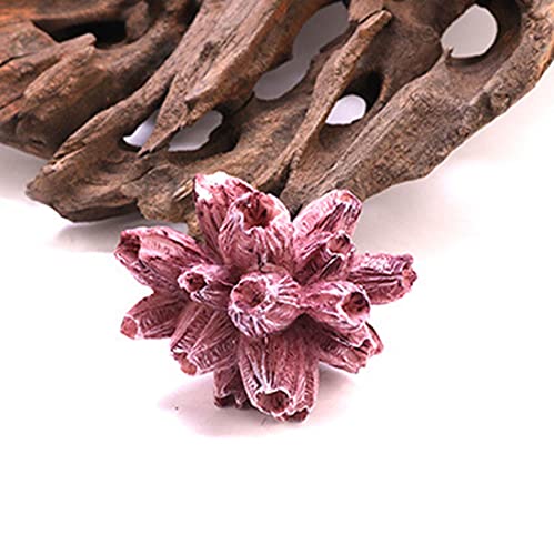 PetPhindU 3 Pcs Coral Artificial Ornamento Decoración del Acuario del Acuario Decoración Paisaje Resina Estrellas De Mar Coral Bone Las Algas Kelp Shell Coral Branch Imitación Coral