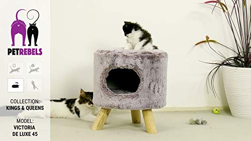 PetRebels Victoria de Luxe 45 - Árbol para Gato, Color Gris