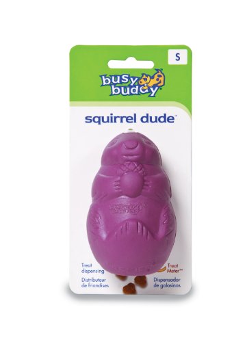 PetSafe Busy Buddy Ardilla - Juguete para Perros, Juguete Dispensador de Golosinas - Mediano