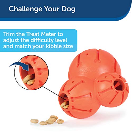 PetSafe Sportsmen Barnacle - Juguete dispensador de golosinas para Perros, rellenable, pequeño
