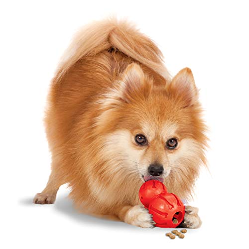 PetSafe Sportsmen Barnacle - Juguete dispensador de golosinas para Perros, rellenable, pequeño