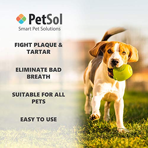 PetSol Pasta de Dientes para Perros y Gatos. Mejora la salud de las encías y los dientes. Refresca el aliento Elimina y reduce la Placa y Tartar. Fresh Breath Dental Care Limpieza de dientes (Menta)