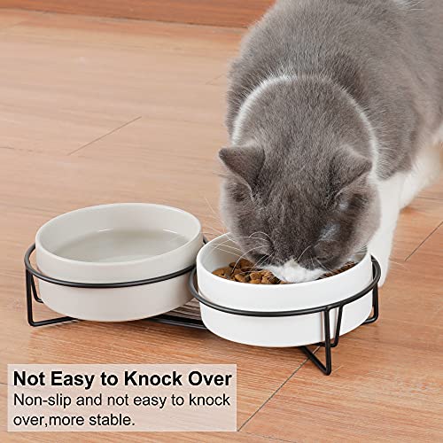 PETTOM Cuenco Cerámico del Gato,Tazón para Mascotas Antideslizantes Plato Doble Comedero Gatos Perros con Soporte Elevado para Alimentos y Agua (Gris+Blanco)