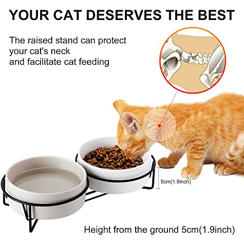 PETTOM Cuenco Cerámico del Gato,Tazón para Mascotas Antideslizantes Plato Doble Comedero Gatos Perros con Soporte Elevado para Alimentos y Agua (Gris+Blanco)