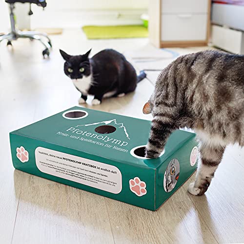 Pfotenolymp® Caja rascadora con cartón ondulado y menta para gatos. Juguete para gatos.
