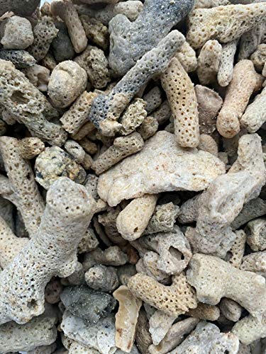 pH triturado 1kg de los medios de filtro del esqueleto del arrecife marino de los medios filtrantes del búfer de los medios de filtro del coral