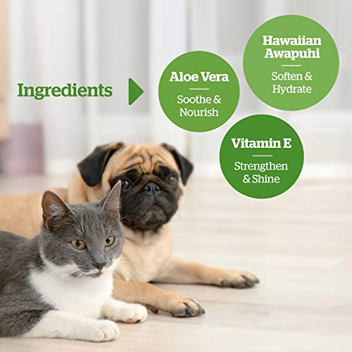 Pogi's Grooming Wipes Paquete de Viaje - 120 toallitas desodorantes para Perros - Aroma de té Verde, Naturales, Extra Grandes, Biodegradable