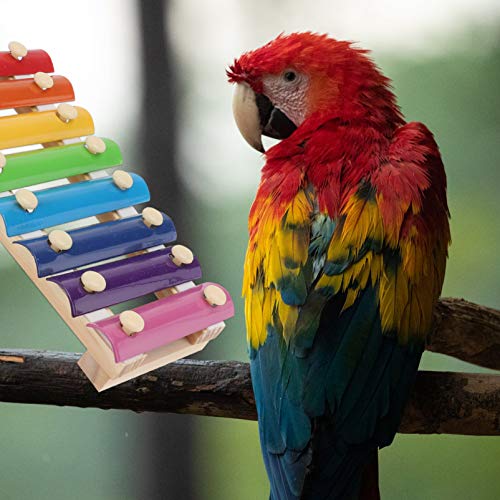POPETPOP 1 Juego de Pájaro Xilófono Loro de Juguete Colgante de Madera Juguetes de Música Gallinero Juguete Picoteo Loro Perritos Molares Juguetes de Rasgado para Loros Perritos