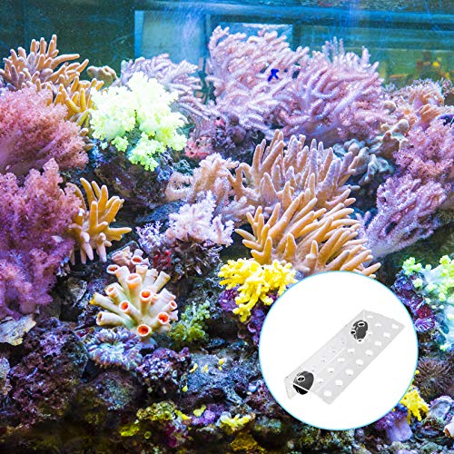POPETPOP Estante de Coral Magnético 23 Agujeros Soporte de Imanes de Plantas de Acuario Clip de Coral Acrílico Soporte de Coral para Pecera con Ventosa para Acuario Tanque de Peces
