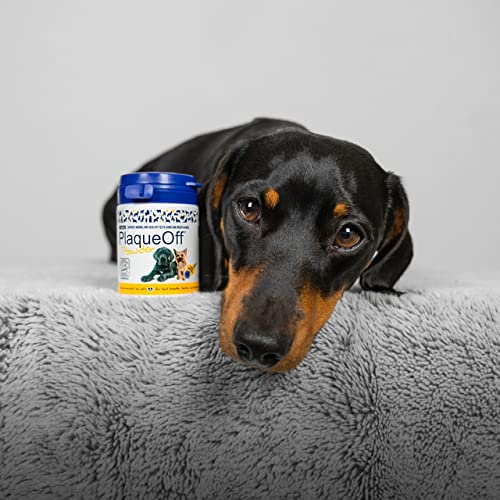 Proden Plaqueoff Animal para Perros y Gatos 420 Gramos