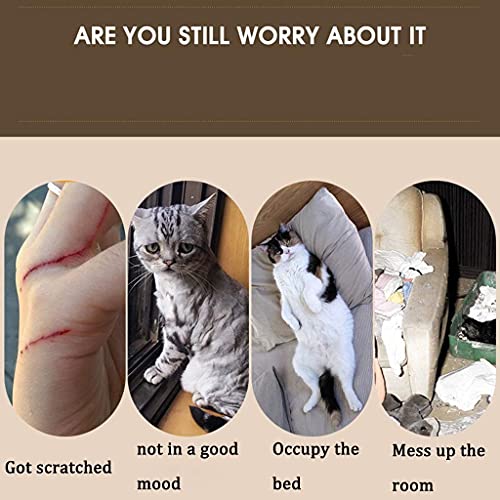 Productos de Estilo de Vida para Mascotas Poste rascador Torre para Gatos Centro de Actividades, Gatos de Verano de Nivel Medio trepar al árbol de Gatos, Poste rascador para Gatos Villa para Gatos Ju