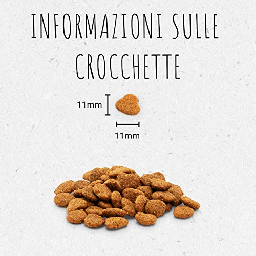 Purina Beyond - Croquetas (360 g)