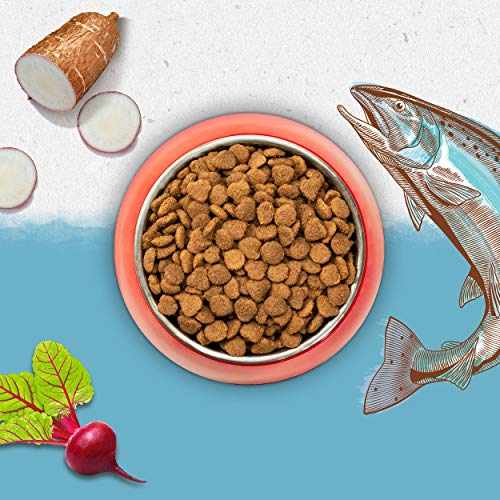 Purina Beyond - Croquetas (360 g)
