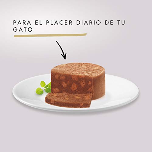 Purina Gourmet Gold Tarrine comida para gatos con Conejo 24 x 85 g