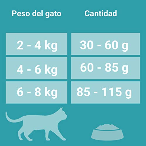 PURINA ONE Bifensis Pienso para Gatos Esterilizados Buey y Trigo 6 x 1,5 Kg