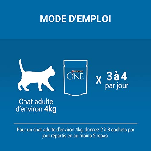 Purina One Special Indoor Cat con atún y ternera - Bolsitas de frescura para gatos adultos, 12 (4 x 85 g)