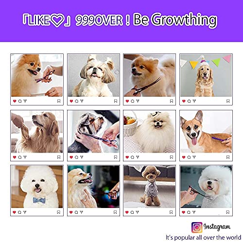 Purple Dragon Juego de tijeras profesionales de 7 pulgadas 4 piezas para aseo de mascotas Japón Premium acero recto y curvado y adelgazamiento hoja de corte de pelo de perro con funda (púrpura)