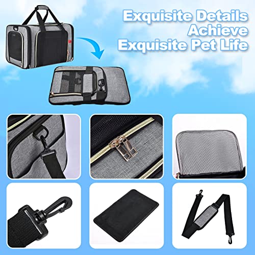 PUTUO Transportin para Gatos Perro: Bolsa Transporte Perro Pequeño Mascotas con Correa de Hombro Ajustable Plegable Transportín para Gatos Perros Conejo para Avion Carro Tren - hasta 8 kg (Negro)