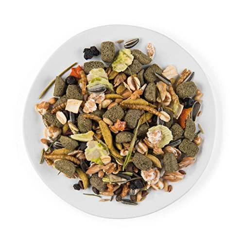 Puur Comida para hámsters Enanos, jerbos, Ratones, 1 Paquete (1 x 400 g)