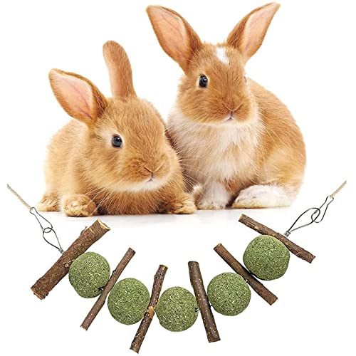 QJM Juguetes para Conejos - Juguete Masticable para Los Molares, Juguetes para Masticar para Cobayas para Conejito, Hámster, Loro, Chinchilla, Conejillo De Indias, Jerbo -3pcs