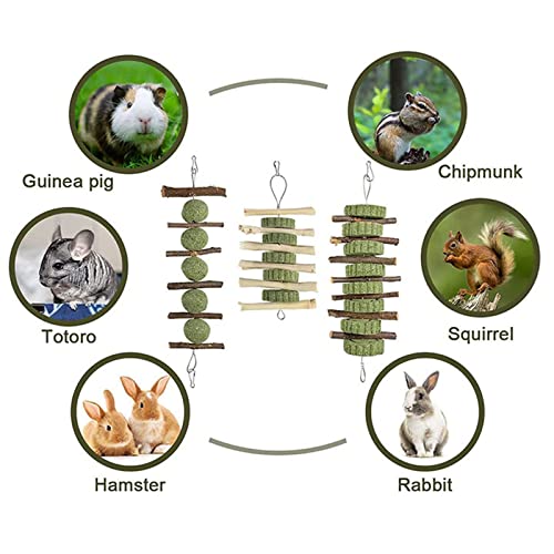 QJM Juguetes para Conejos - Juguete Masticable para Los Molares, Juguetes para Masticar para Cobayas para Conejito, Hámster, Loro, Chinchilla, Conejillo De Indias, Jerbo -3pcs
