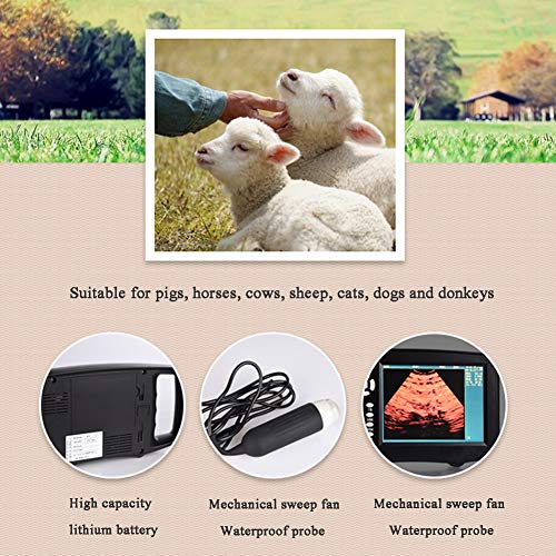 QNMM Equipo de Ultrasonido Veterinario Portátil, Equipo de Escáner de Ultrasonido Veterinario de Mano, para Cerdos, Caballos, Vacas, Ovejas, Gatos, Perros Y Burros