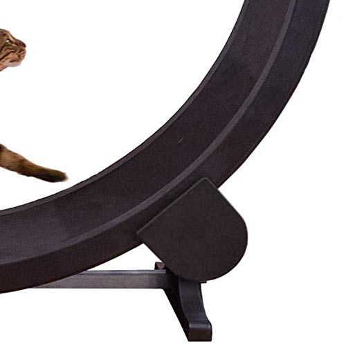 QNMM Rueda De Ejercicio para Gatos Marco De Escalada para Gatos Juguete para Gatos Arena para Gatos Muebles para Gatos Rodillo para Correr Cinta para Gatos Diámetro De La Rueda para Correr 1.2 Metros