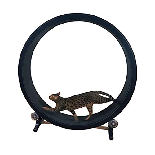 QNMM Rueda De Ejercicio para Gatos Marco De Escalada para Gatos Juguete para Gatos Arena para Gatos Muebles para Gatos Rodillo para Correr Cinta para Gatos Diámetro De La Rueda para Correr 1.2 Metros