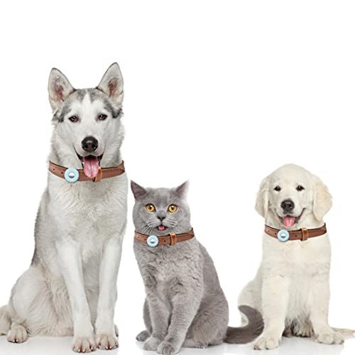 Quesuc - Soporte de silicona para collar de perro Airtag de 2 piezas, funda de silicona ligera y compacta para accesorios de collar de gato, azul + verde (compatible con AirTag 2021)