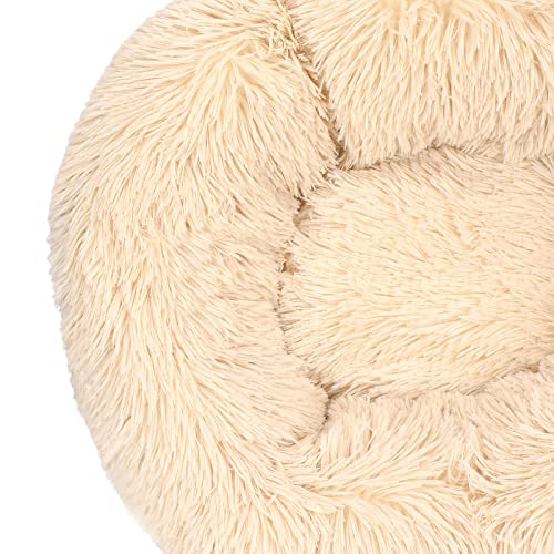 Queta Cama para gatos con bonita cama para animales, pequeña cama para mascotas de peluche, suave, redonda (50 cm, beige)
